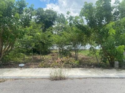 🏡 ❗Terreno en venta❗-CONKAL, YUCATÁN - 📍En el corazón del pueblo, a solo 5 minutos del centro y con excelente proyección de crecimiento