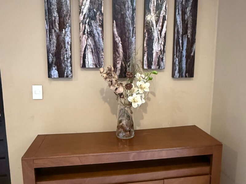 RENTA DE DEPARTAMENTO AMPLIO EN CAMPECHE