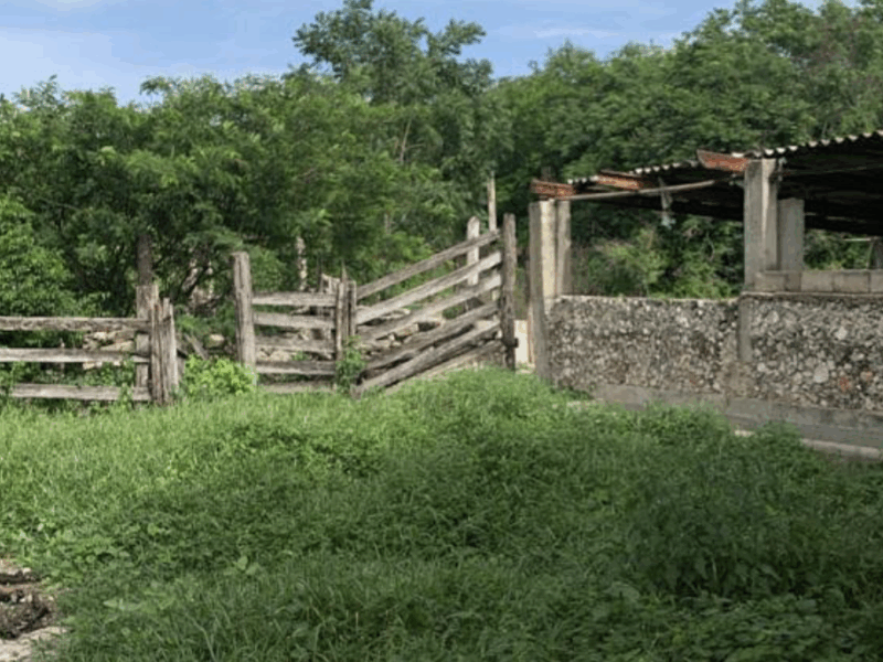 HACIENDA KUBA en Mérida Yucatán