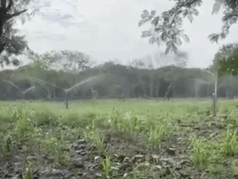 HACIENDA KUBA en Mérida Yucatán